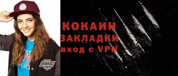 шишки Аркадак