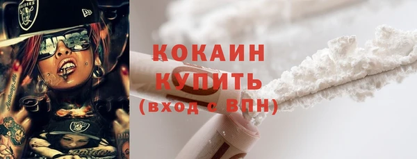 шишки Аркадак