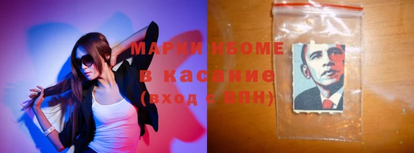 шишки Аркадак