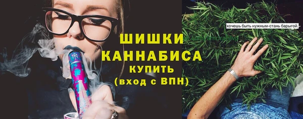 apvp Арсеньев
