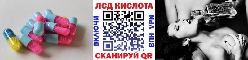 mega tor  Светлоград  Лсд 25 экстази кислота 